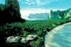 Rayavadee Resort 